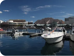 公司頂讓,公司賣盤,中小企資助,創(chuàng)業(yè)基金支援,出讓頂手生意,政府資助項(xiàng)目,香港買生意,香港資助項(xiàng)目